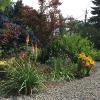 On the edge of an edible forest garden.