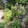 Rain Garden along path
