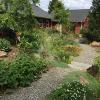 Path over drainage creek through the edible forest garden.