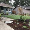 Complete makeover of front yard, where was only a dying dusty lawn, now blueberries, heathers, boulders, and a new flat and green lawn. 